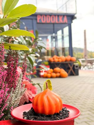 🎃🍫 Dýňová vločka s rakytníkem v pěně z mléčné čokolády, čokoládový piškot a země z dýňových semínek a kakaa 😋